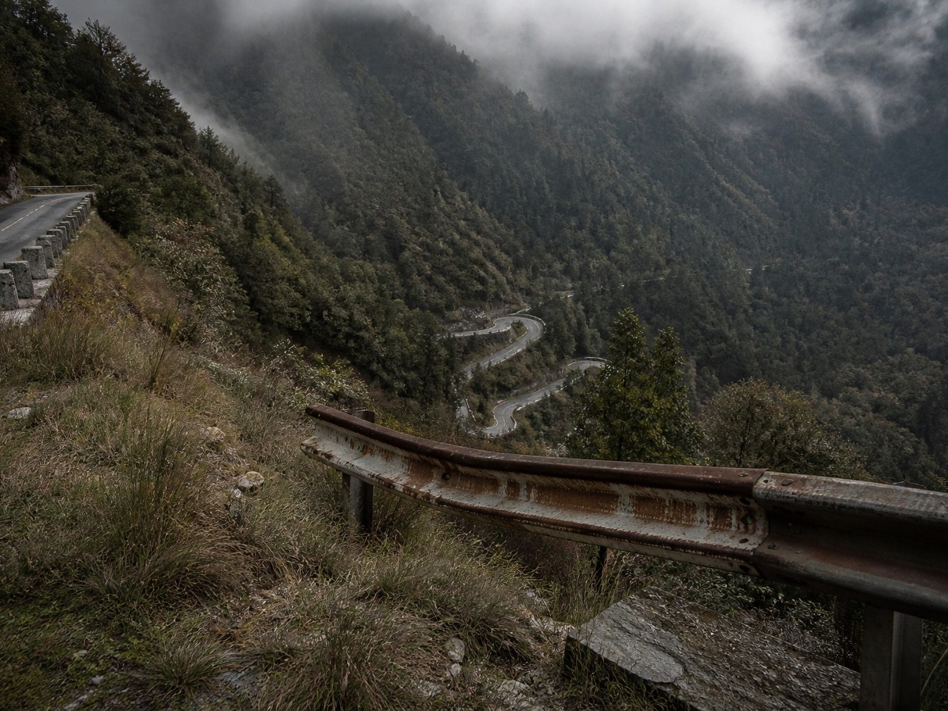 从高处降到森林的盘山